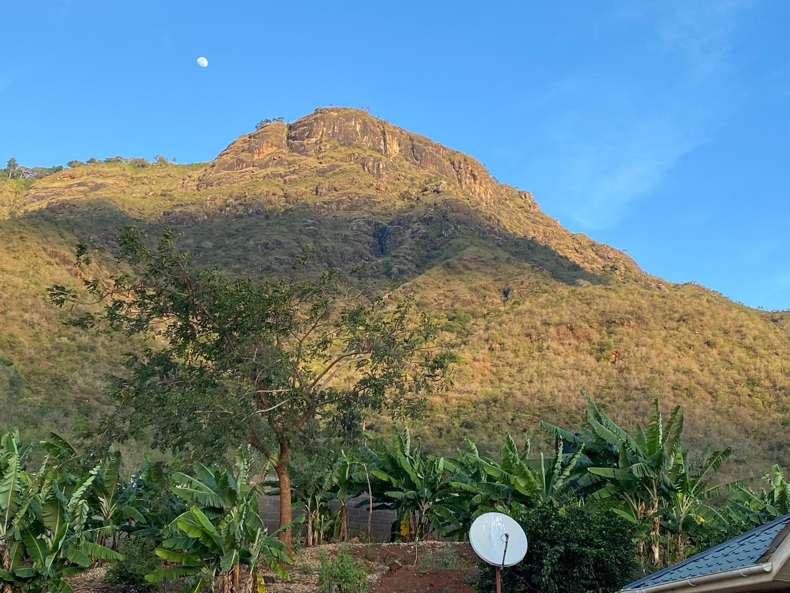 The Hill